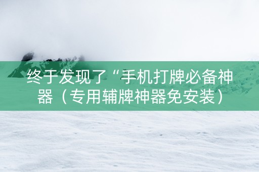 终于发现了“手机打牌必备神器（专用辅牌神器免安装）