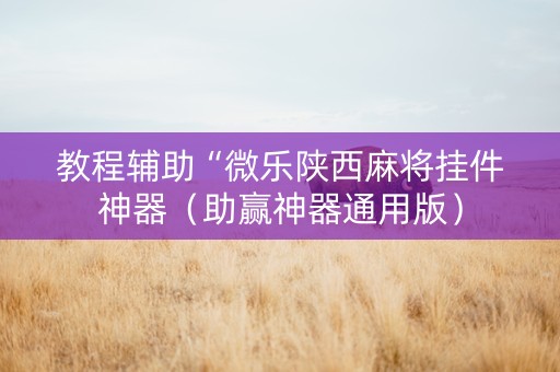 教程辅助“微乐陕西麻将挂件神器（助赢神器通用版）