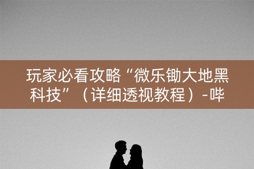 玩家必看攻略“微乐锄大地黑科技”（详细透视教程）-哔哩哔哩