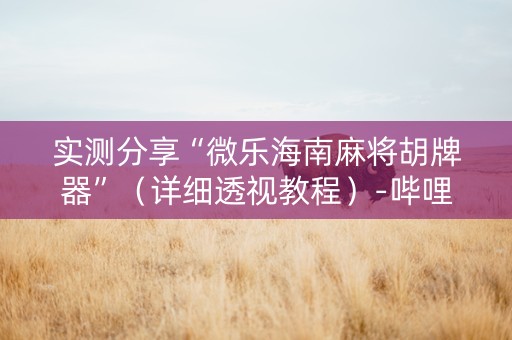 实测分享“微乐海南麻将胡牌器”（详细透视教程）-哔哩哔哩