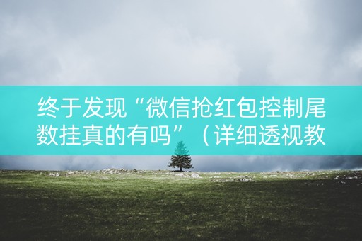 终于发现“微信抢红包控制尾数挂真的有吗”（详细透视教程）-哔哩哔哩