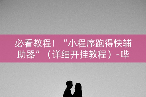 必看教程！“小程序跑得快辅助器”（详细开挂教程）-哔哩哔哩