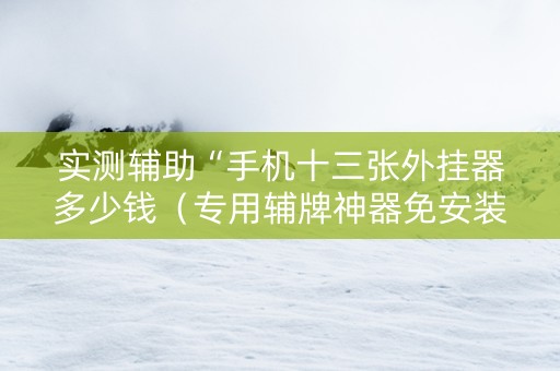 实测辅助“手机十三张外挂器多少钱（专用辅牌神器免安装）