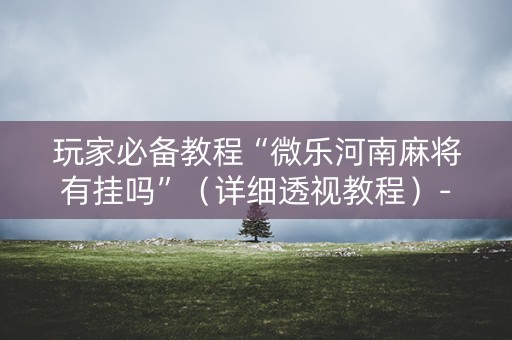 玩家必备教程“微乐河南麻将有挂吗”（详细透视教程）-哔哩哔哩