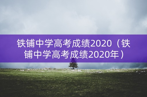 铁铺中学高考成绩2020（铁铺中学高考成绩2020年）