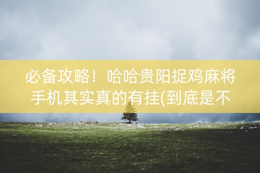 必备攻略！哈哈贵阳捉鸡麻将手机其实真的有挂(到底是不是有挂)