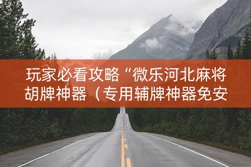 玩家必看攻略“微乐河北麻将胡牌神器（专用辅牌神器免安装）