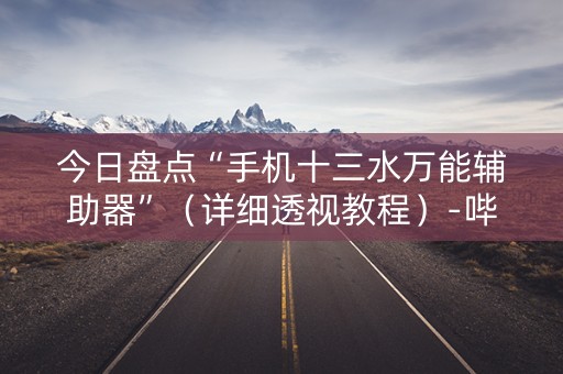 今日盘点“手机十三水万能辅助器”（详细透视教程）-哔哩哔哩