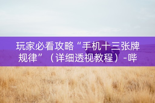 玩家必看攻略“手机十三张牌规律”（详细透视教程）-哔哩哔哩