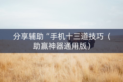 分享辅助“手机十三道技巧（助赢神器通用版）
