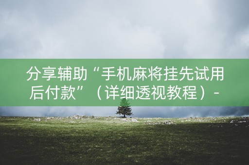 分享辅助“手机麻将挂先试用后付款”（详细透视教程）-哔哩哔哩