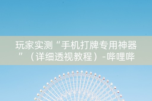 玩家实测“手机打牌专用神器”（详细透视教程）-哔哩哔哩