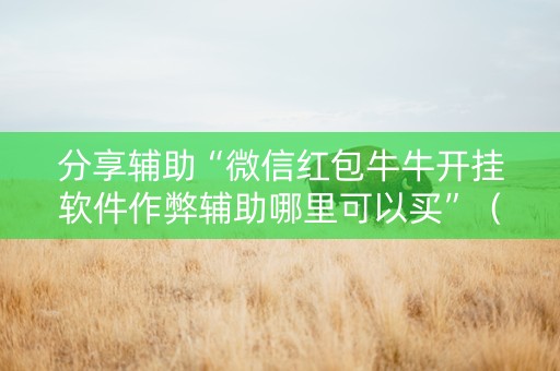分享辅助“微信红包牛牛开挂软件作弊辅助哪里可以买”（详细透视教程）-哔哩哔哩
