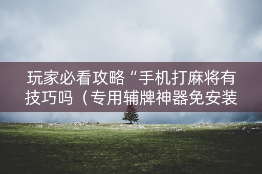 玩家必看攻略“手机打麻将有技巧吗（专用辅牌神器免安装）