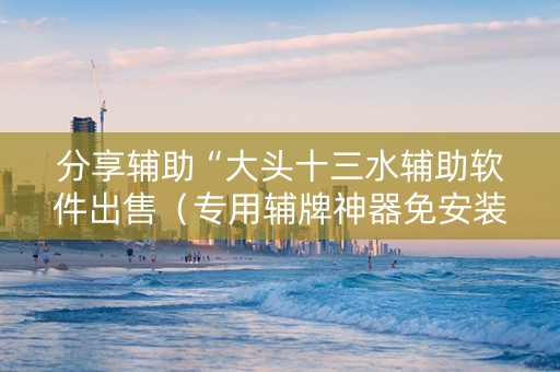 分享辅助“大头十三水辅助软件出售（专用辅牌神器免安装）