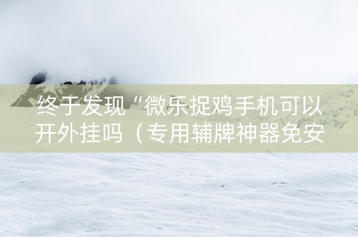 终于发现“微乐捉鸡手机可以开外挂吗（专用辅牌神器免安装）