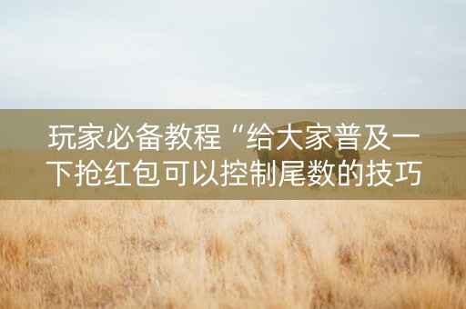 玩家必备教程“给大家普及一下抢红包可以控制尾数的技巧”（详细透视教程）-哔哩哔哩