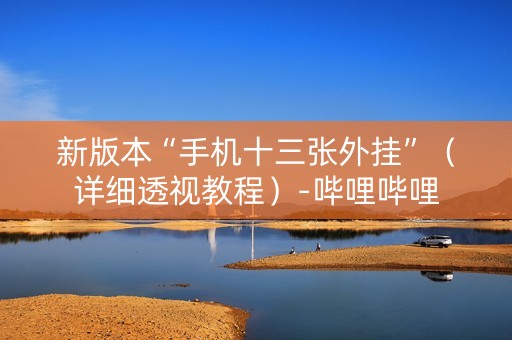 新版本“手机十三张外挂”（详细透视教程）-哔哩哔哩