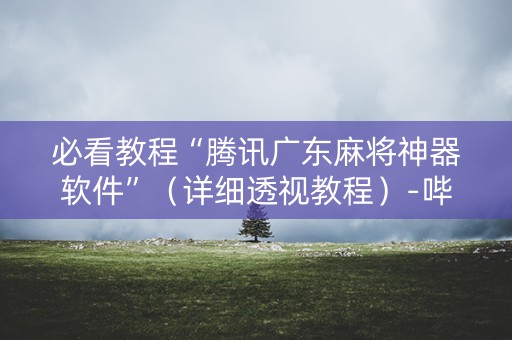 必看教程“腾讯广东麻将神器软件”（详细透视教程）-哔哩哔哩