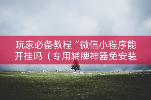 玩家必备教程“微信小程序能开挂吗（专用辅牌神器免安装）