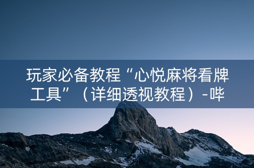 玩家必备教程“心悦麻将看牌工具”（详细透视教程）-哔哩哔哩