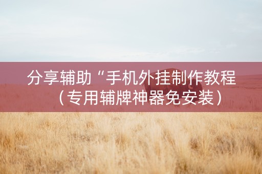 分享辅助“手机外挂制作教程（专用辅牌神器免安装）