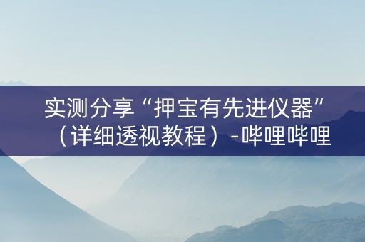实测分享“押宝有先进仪器”（详细透视教程）-哔哩哔哩