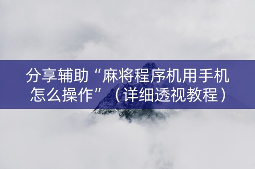 分享辅助“麻将程序机用手机怎么操作”（详细透视教程）-哔哩哔哩