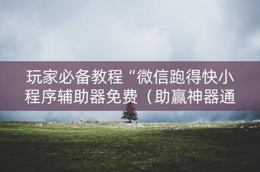 玩家必备教程“微信跑得快小程序辅助器免费（助赢神器通用版）
