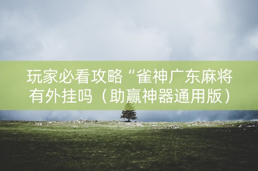 玩家必看攻略“雀神广东麻将有外挂吗（助赢神器通用版）