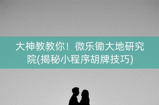 大神教教你！微乐锄大地研究院(揭秘小程序胡牌技巧)