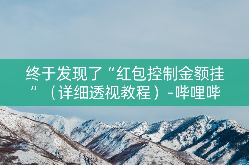 终于发现了“红包控制金额挂”（详细透视教程）-哔哩哔哩