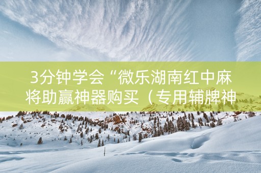 3分钟学会“微乐湖南红中麻将助赢神器购买（专用辅牌神器免安装）
