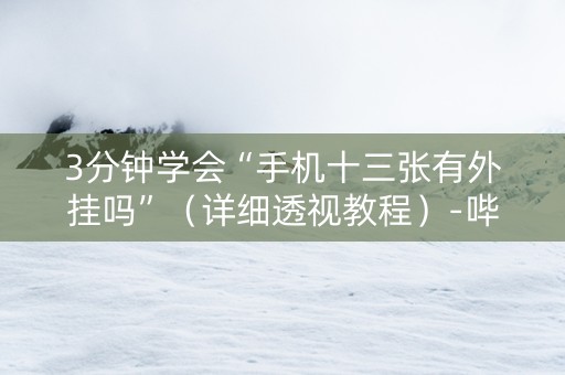 3分钟学会“手机十三张有外挂吗”（详细透视教程）-哔哩哔哩