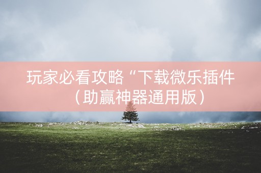 玩家必看攻略“下载微乐插件（助赢神器通用版）