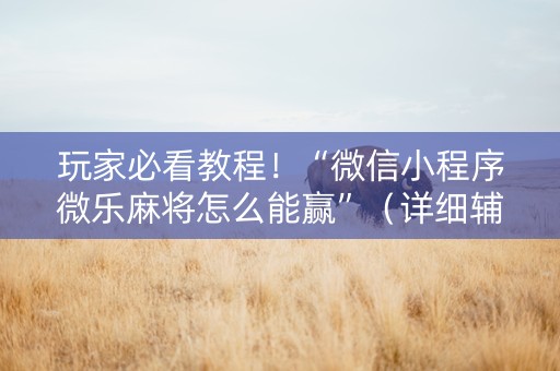 玩家必看教程！“微信小程序微乐麻将怎么能赢”（详细辅助教程）-哔哩哔哩