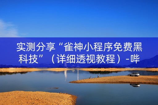 实测分享“雀神小程序免费黑科技”（详细透视教程）-哔哩哔哩
