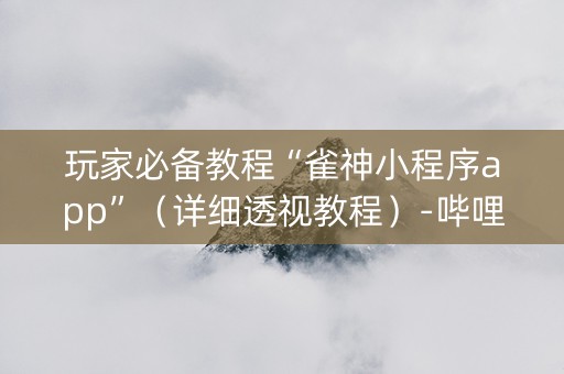 玩家必备教程“雀神小程序app”（详细透视教程）-哔哩哔哩