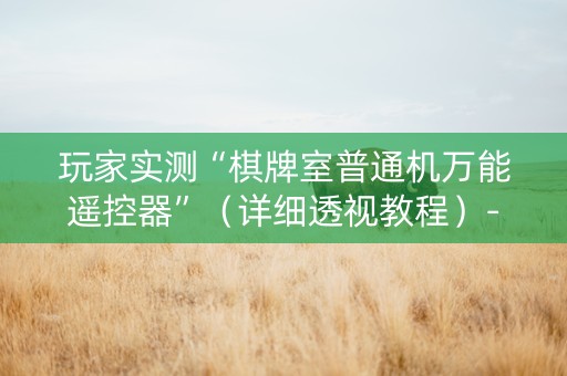 玩家实测“棋牌室普通机万能遥控器”（详细透视教程）-哔哩哔哩