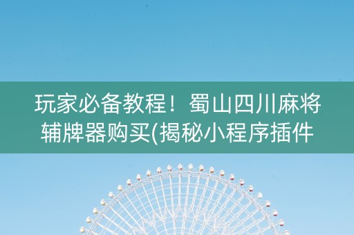 玩家必备教程！蜀山四川麻将辅牌器购买(揭秘小程序插件购买)