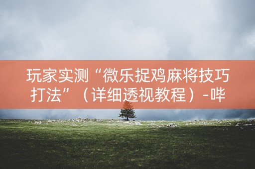 玩家实测“微乐捉鸡麻将技巧打法”（详细透视教程）-哔哩哔哩
