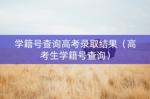 学籍号查询高考录取结果（高考生学籍号查询）