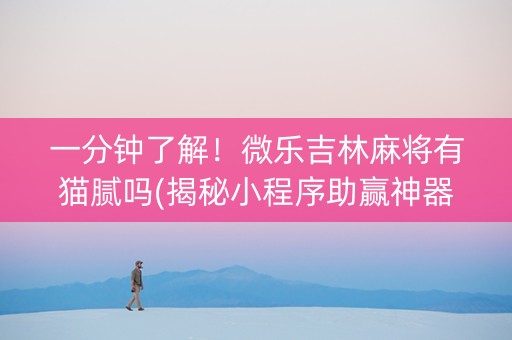 一分钟了解！微乐吉林麻将有猫腻吗(揭秘小程序助赢神器)