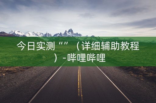 今日实测“”（详细辅助教程）-哔哩哔哩