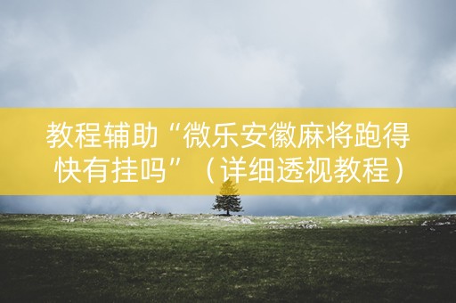 教程辅助“微乐安徽麻将跑得快有挂吗”（详细透视教程）-哔哩哔哩