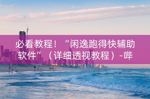 必看教程！“闲逸跑得快辅助软件”（详细透视教程）-哔哩哔哩