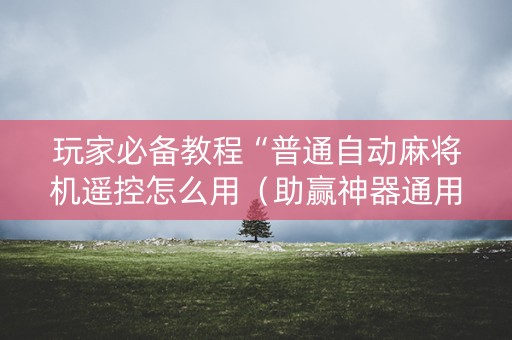 玩家必备教程“普通自动麻将机遥控怎么用（助赢神器通用版）