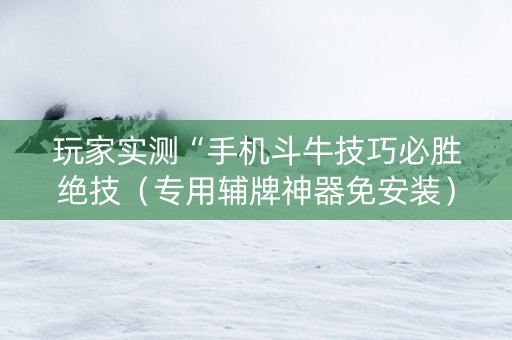 玩家实测“手机斗牛技巧必胜绝技（专用辅牌神器免安装）