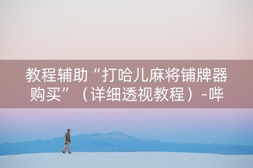 教程辅助“打哈儿麻将铺牌器购买”（详细透视教程）-哔哩哔哩