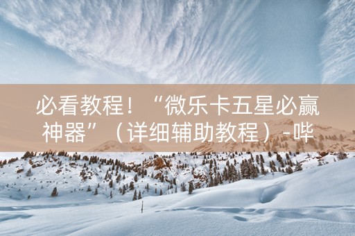 必看教程！“微乐卡五星必赢神器”（详细辅助教程）-哔哩哔哩